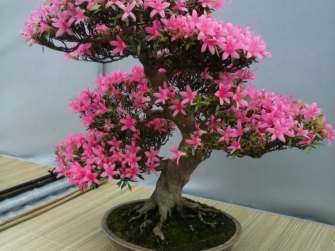 Le Jardin du Levant景点图片