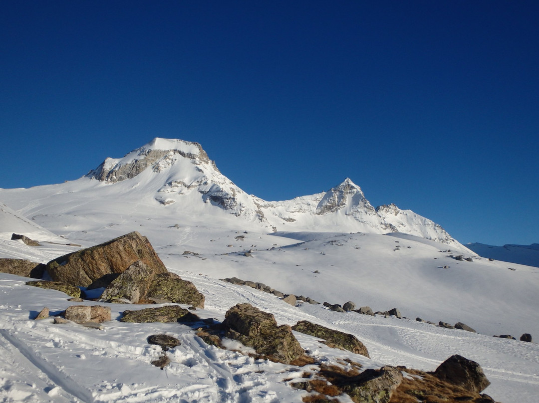 Gran Paradiso景点图片