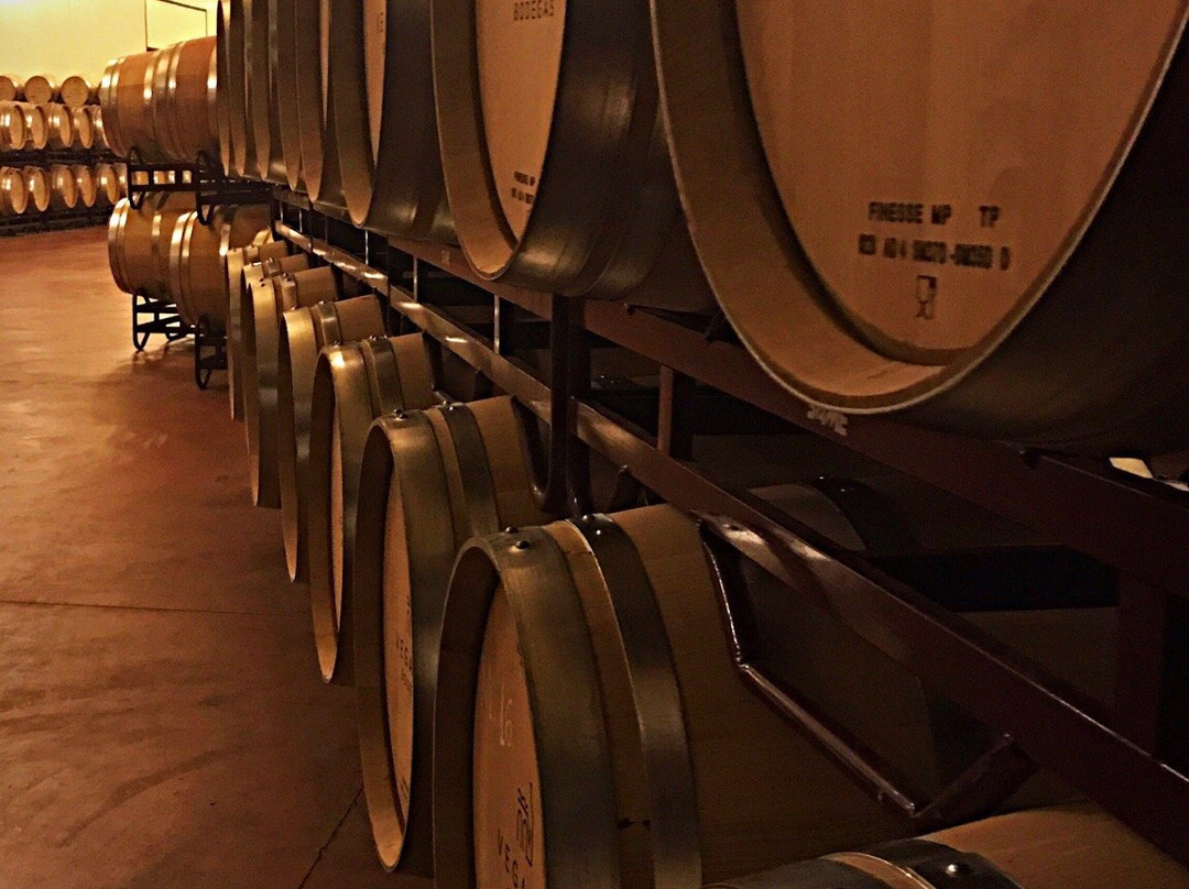 Vegamar Bodegas景点图片