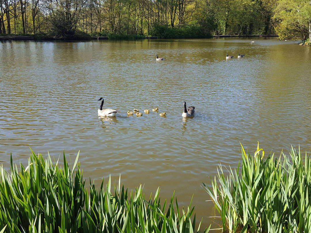 Biddulph Country Park景点图片