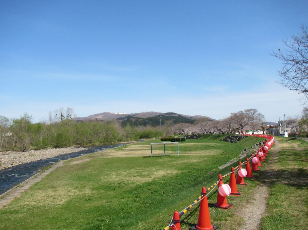 Ono River Cherry Blossom Avenue-北斗市必去景点