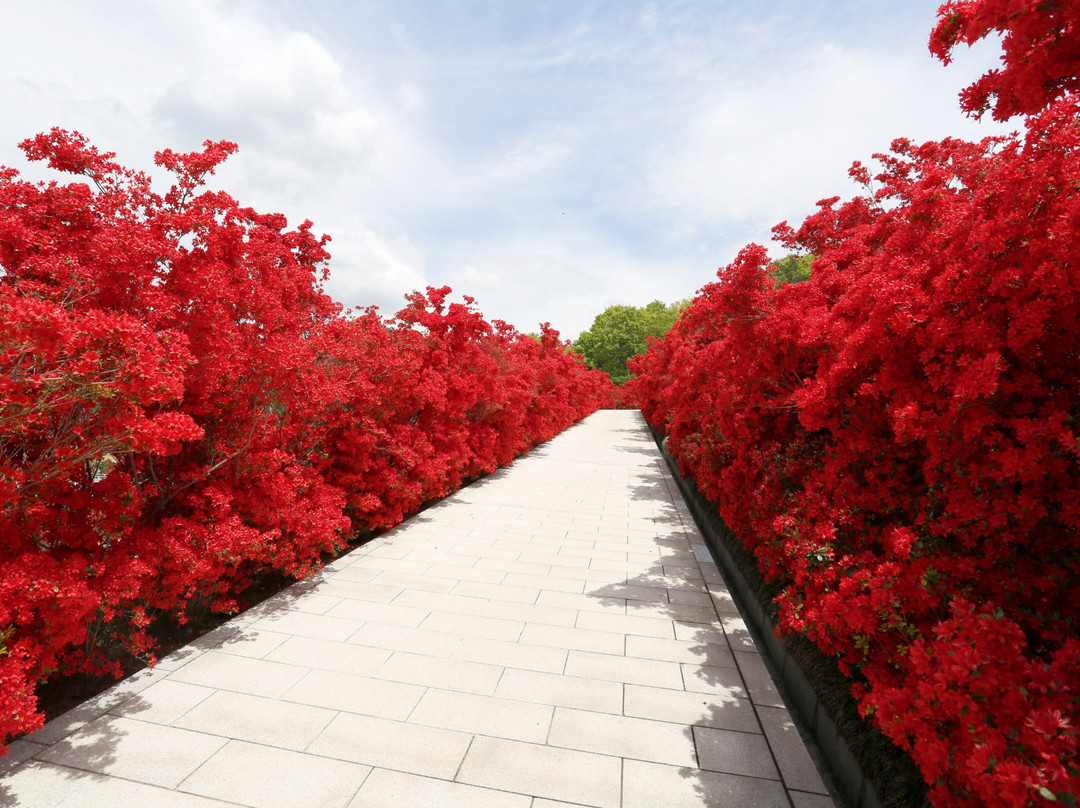 The Royal Grand Hall of Buddhism-加东市必去景点