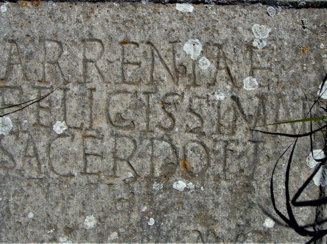 SCAVI ARCHEOLOGICI DI HERDONIA (ORDONA), FOGGIA, PUGLIA, ITALY景点图片