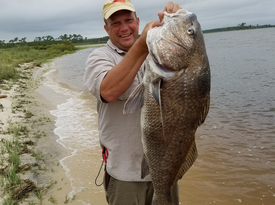 Bald Point State Park-Alligator Point必去景点