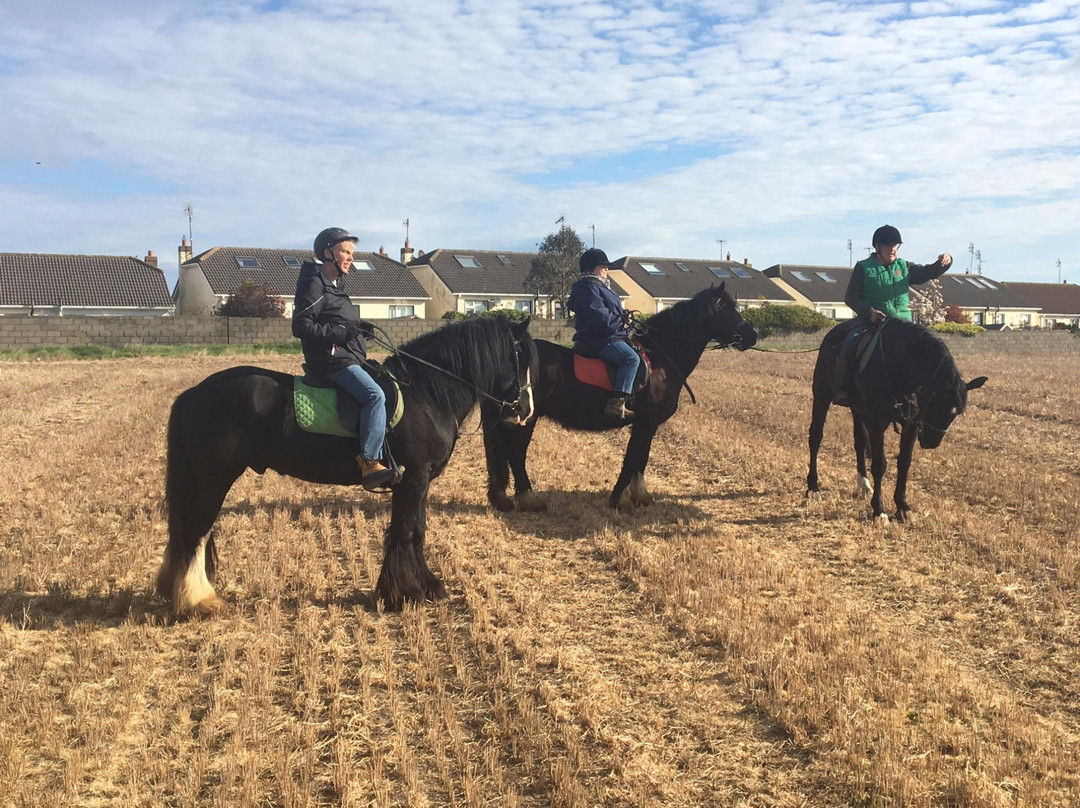 Corballis Farm Horse Trekking & Therapeutic Riding Centre-都柏林必去景点