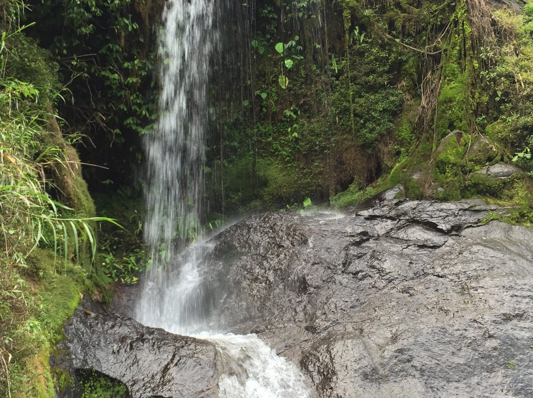 Tenogtog Waterfalls景点图片