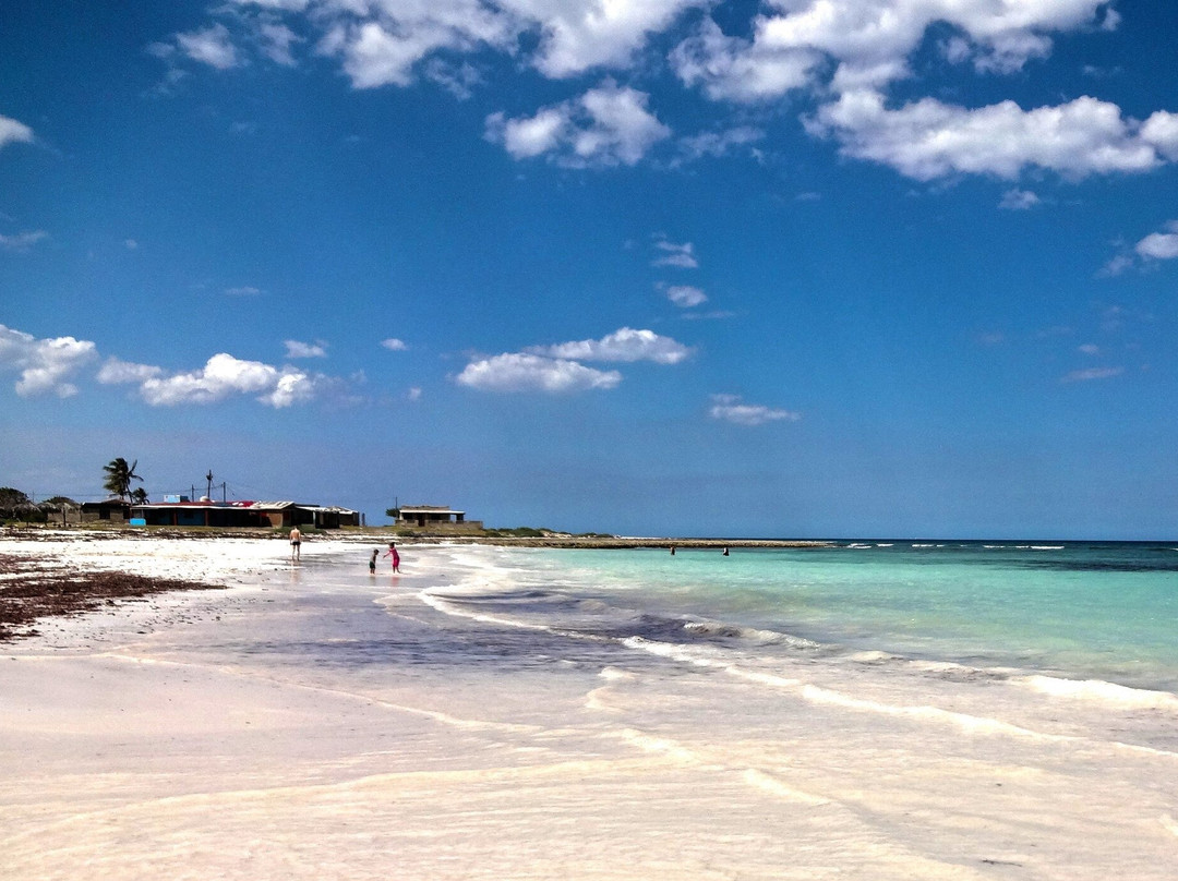 Playa Caletones景点图片