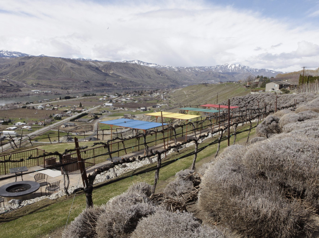 Martin Scott Winery景点图片