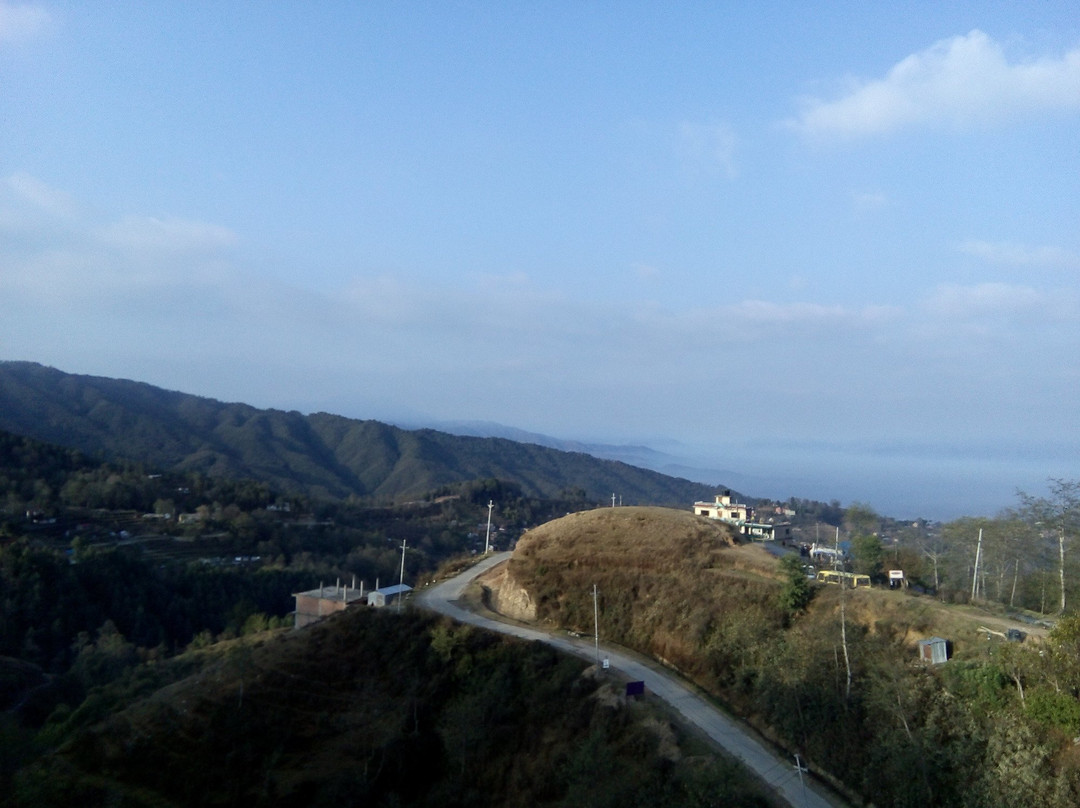 Hotel Mari Gold主图