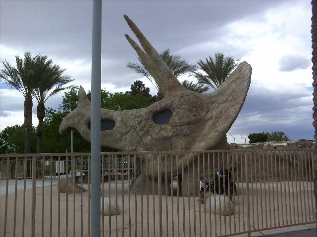 Aliante Nature Discovery Park-北拉斯维加斯必去景点