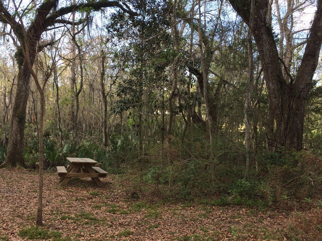 Camp Salmen Nature Park景点图片