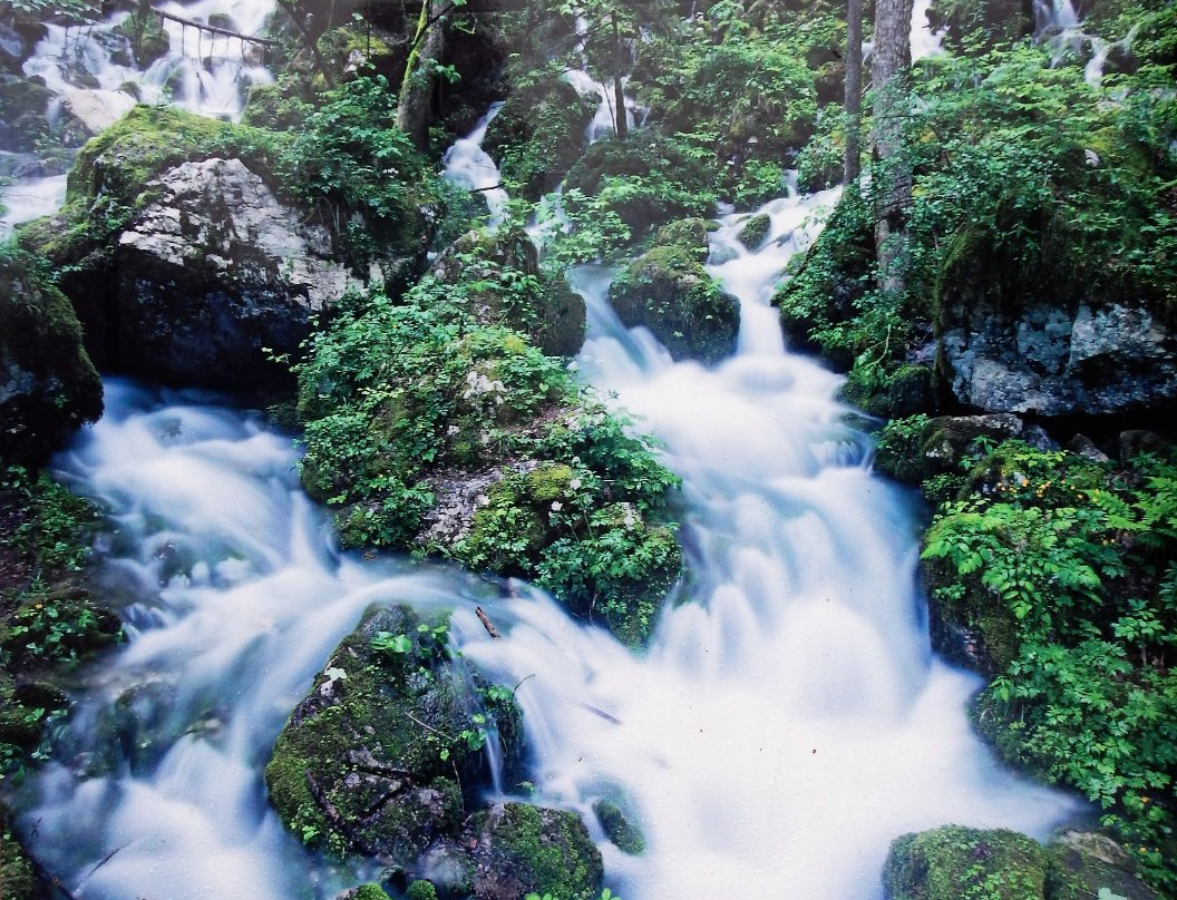 Kamniska Bistrica River-Kamnik必去景点
