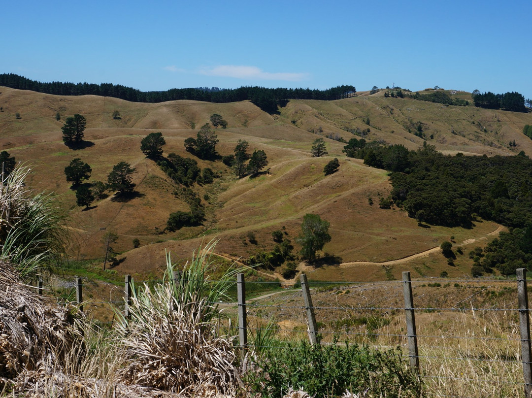 Mount Auckland Atuanui Walkway-奥克兰中心地区必去景点