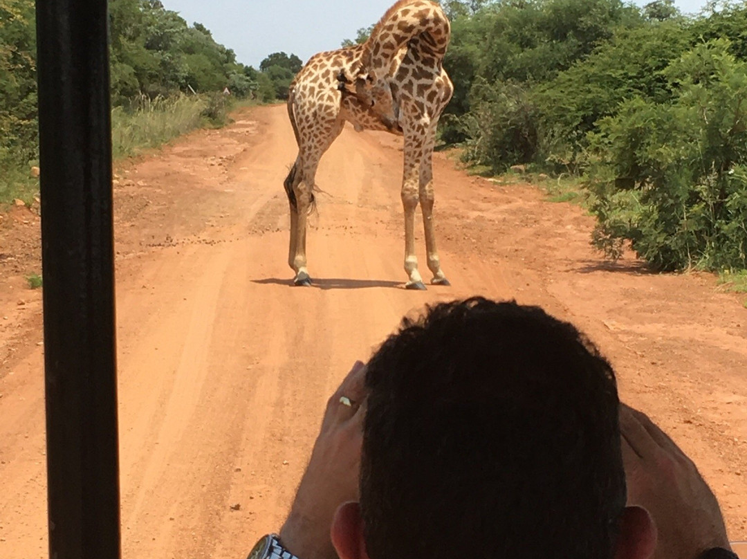 Kingfisher's View Waterfront Lodge主图