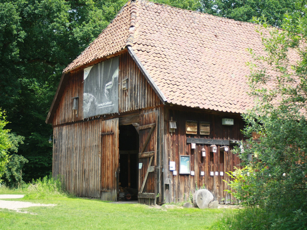 Winsen an der Aller旅游攻略图片