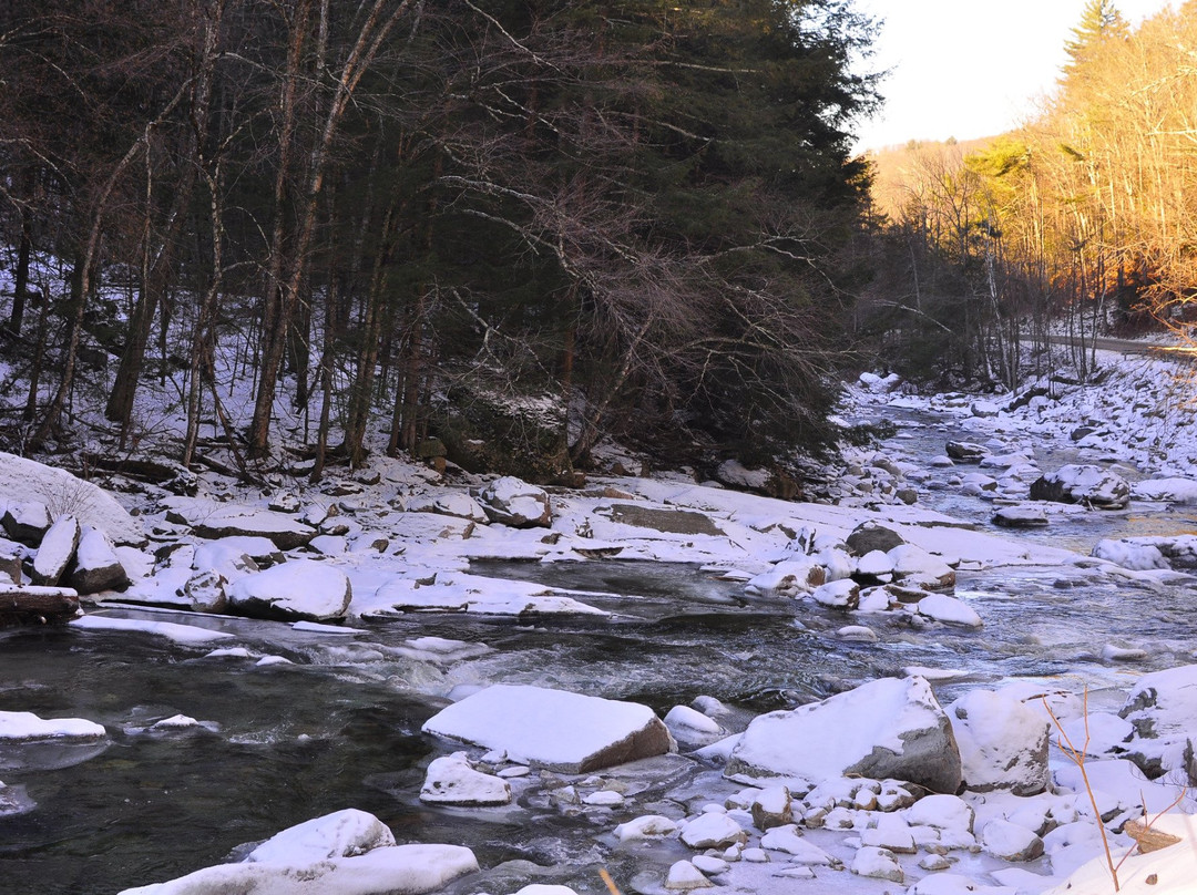 Bristol Falls-Bristol必去景点