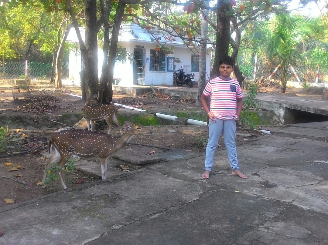 Jalakandeswarar Temple-金奈（马德拉斯）必去景点