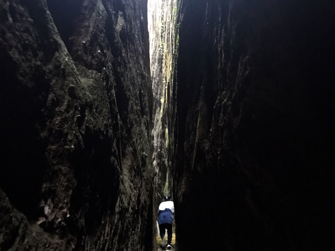桃源洞风景名胜区-永安市必去景点
