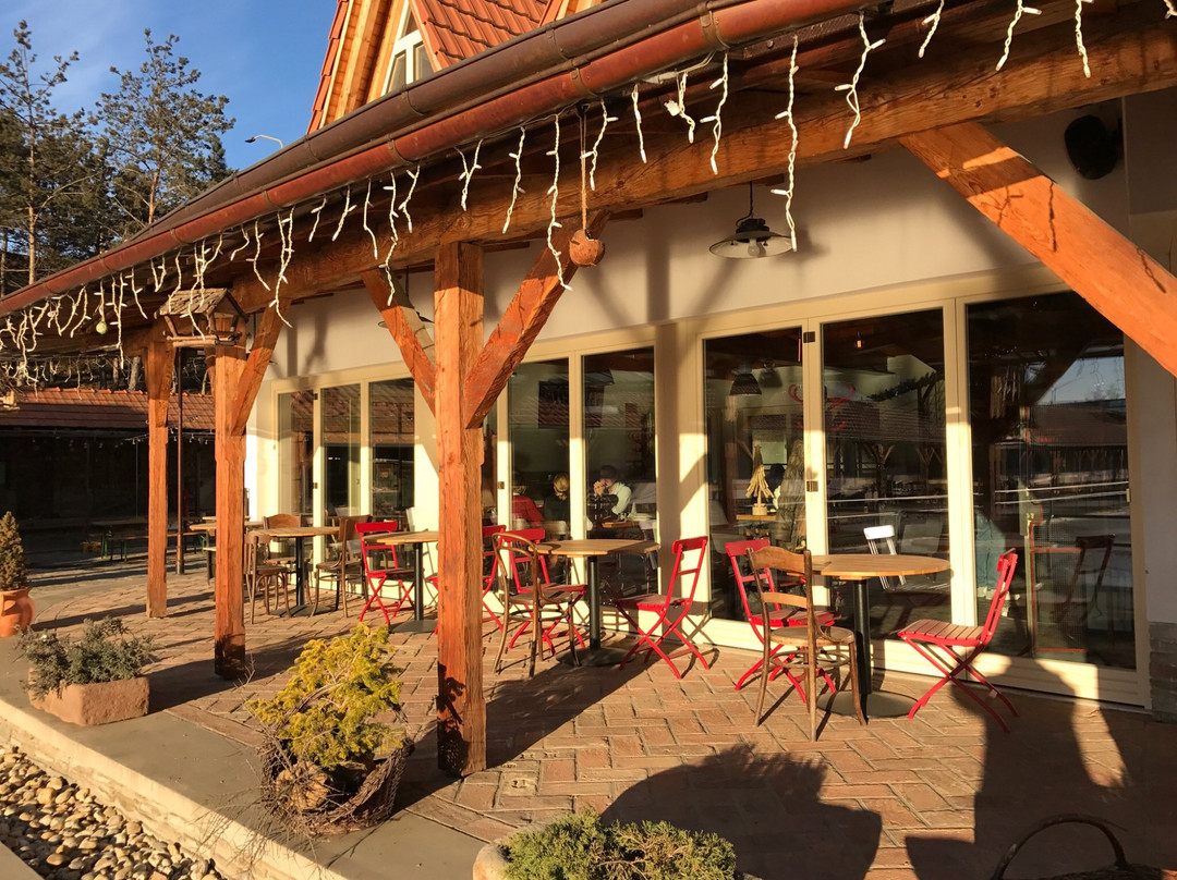 Presov餐馆和美食-Zwicker Restaurant