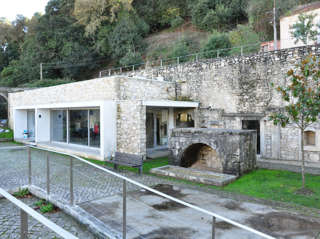 Piscina Natural de Ançã景点图片