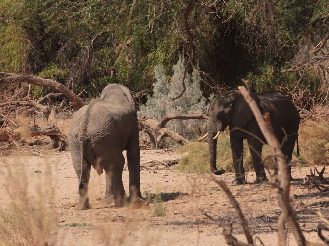 Ugab River-Khorixas必去景点