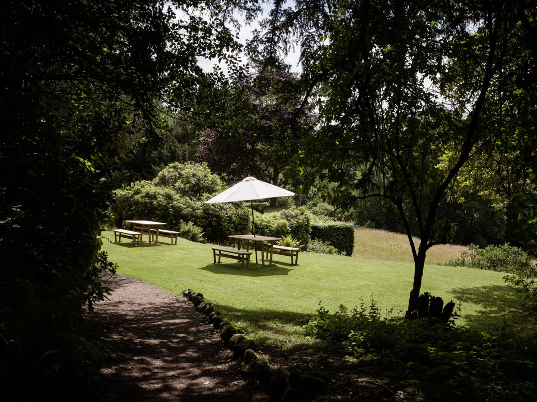 Lancrigg - Wordsworths Woodland Walks景点图片