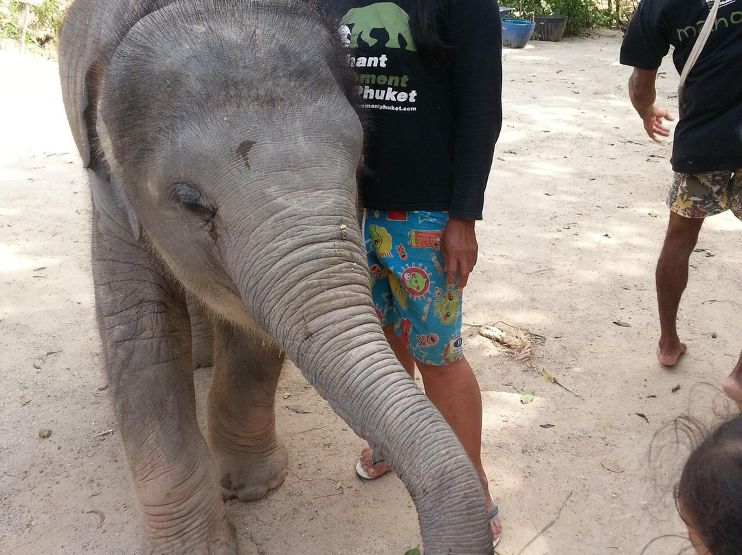 1967-汉密尔顿必去景点
