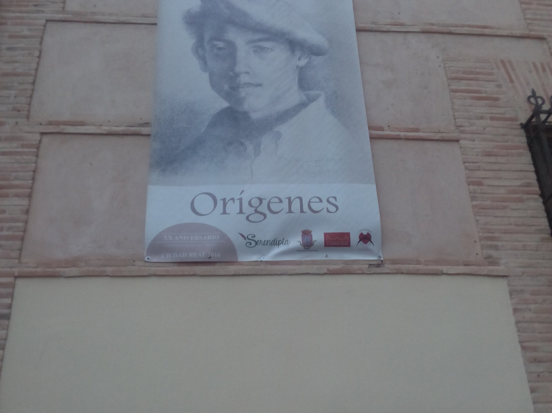 Museo Manuel Lopez Villasenor景点图片