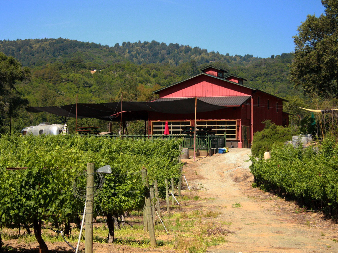 Martin Ranch Winery-吉尔罗伊必去景点