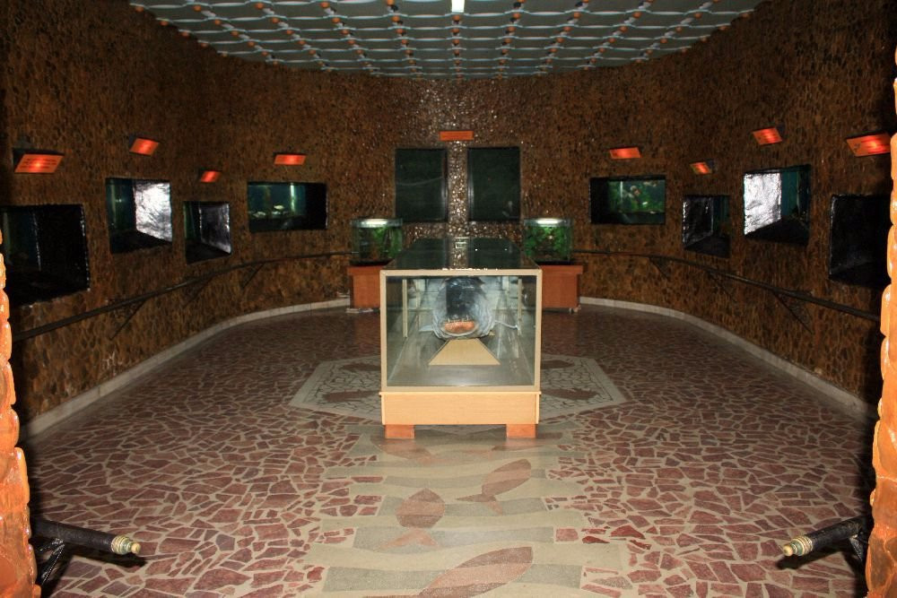Museum of Water Mihai Bacescu - Muzeul Apelor Mihai Bacescu景点图片