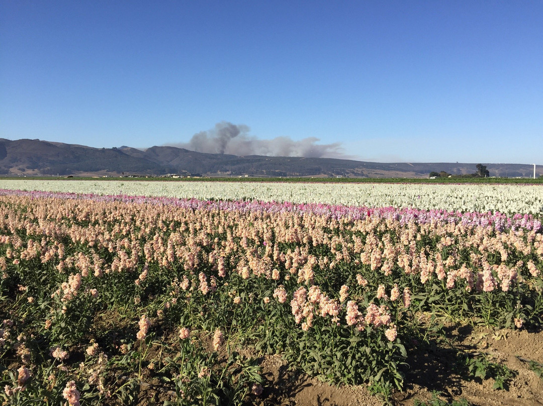 Lompoc Valley Historical Society-隆波克必去景点