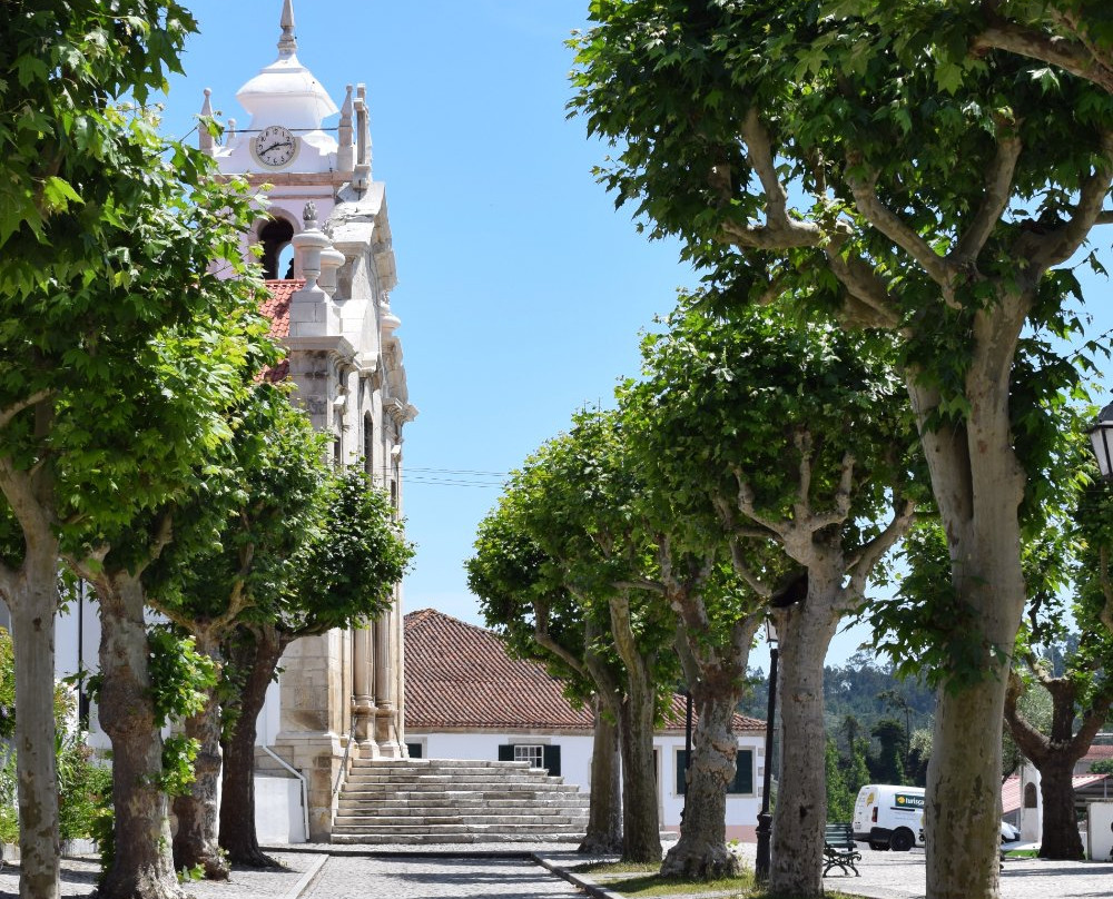 Terreiro do Paco Garden景点图片