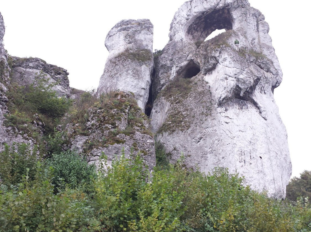 Okiennik Wielki near Skarżyce景点图片