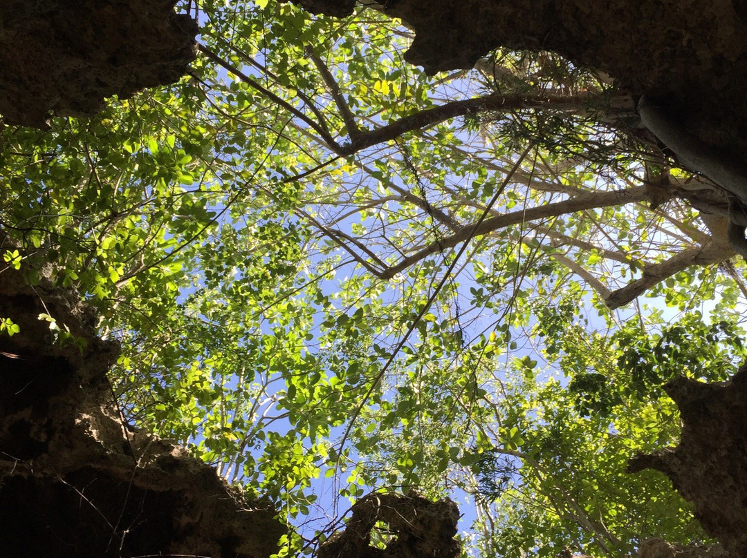 The Bat's Cave-Cayman Brac必去景点