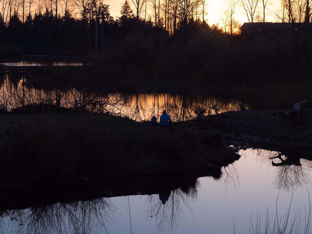 Delta Ponds City Park-尤金必去景点