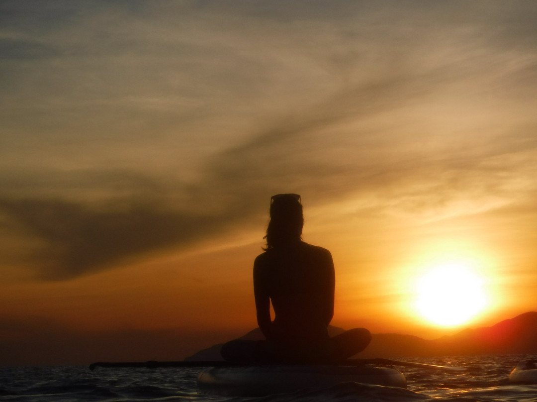 Sup Monkey Hoi An-会安必去景点