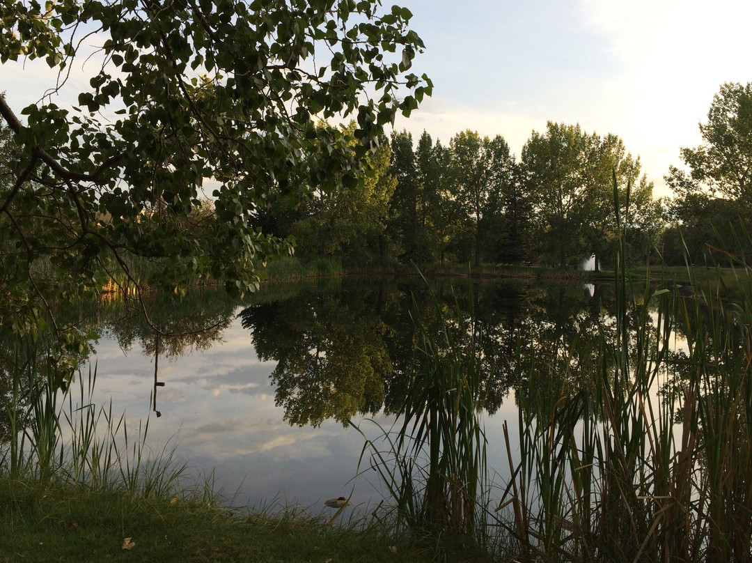 鲍尔池塘-红鹿市必去景点