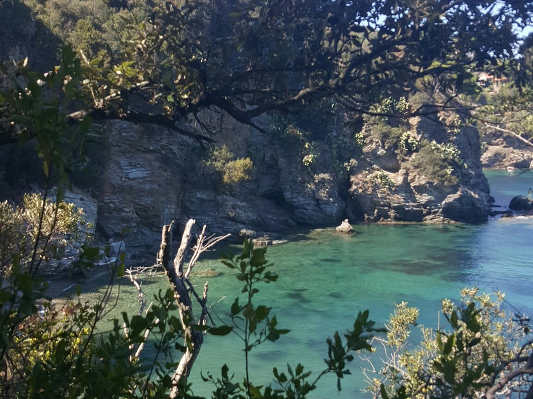 Spiaggia Luisi d'Angelo景点图片