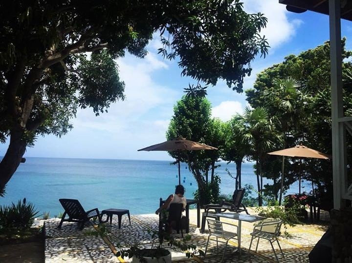 Santa Catalina Island旅游攻略图片