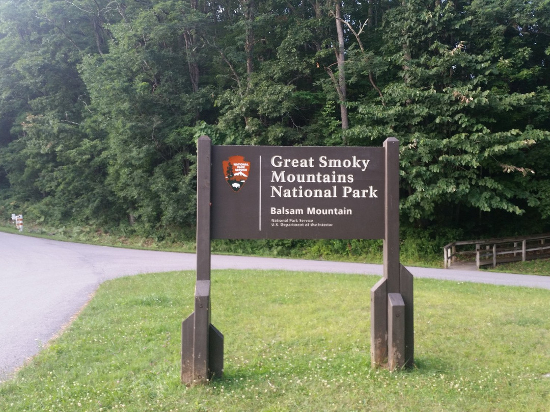 Balsam Mountain Road-大雾山国家公园必去景点