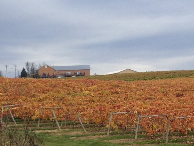 Shade Mountain Winery & Vineyard景点图片