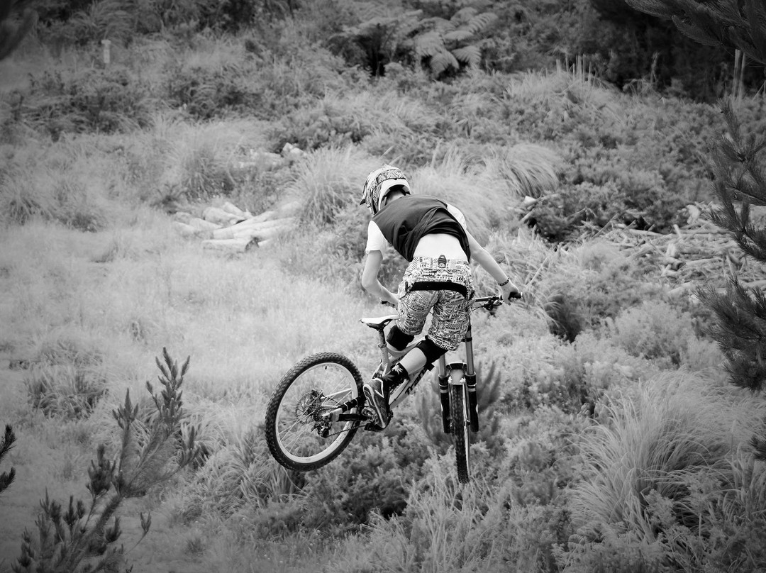 Parahaki Mountain Bike Park景点图片