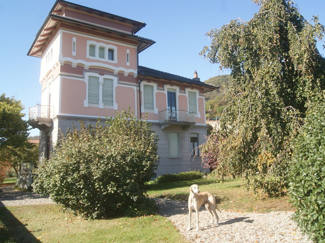 B&B Il Pettirosso