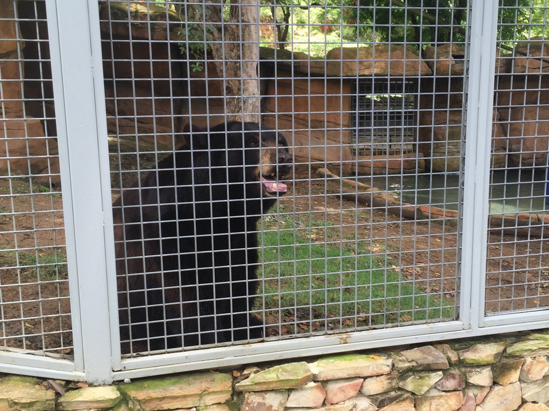 Science Park-圣胡安必去景点