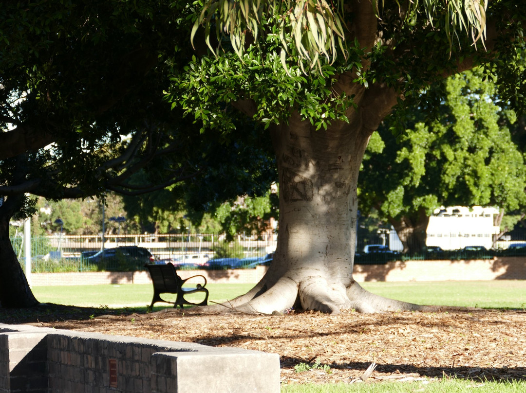 温特沃斯公园-悉尼必去景点