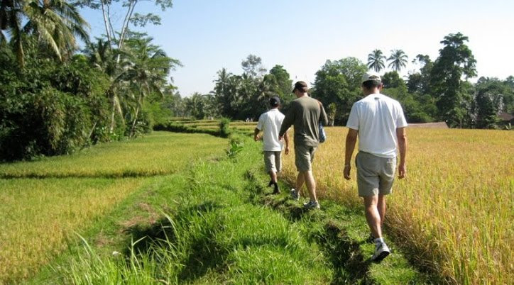 Bali Nature Trek (Ketut Dharma)-乌布必去景点