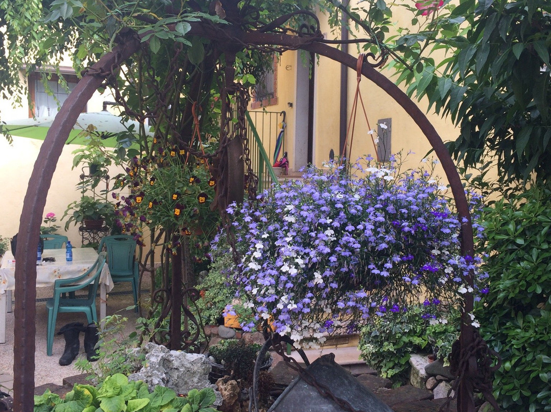 La Carbonara 6主图