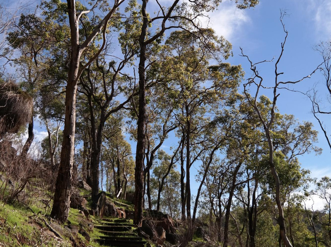 Bullsbrook旅游攻略图片