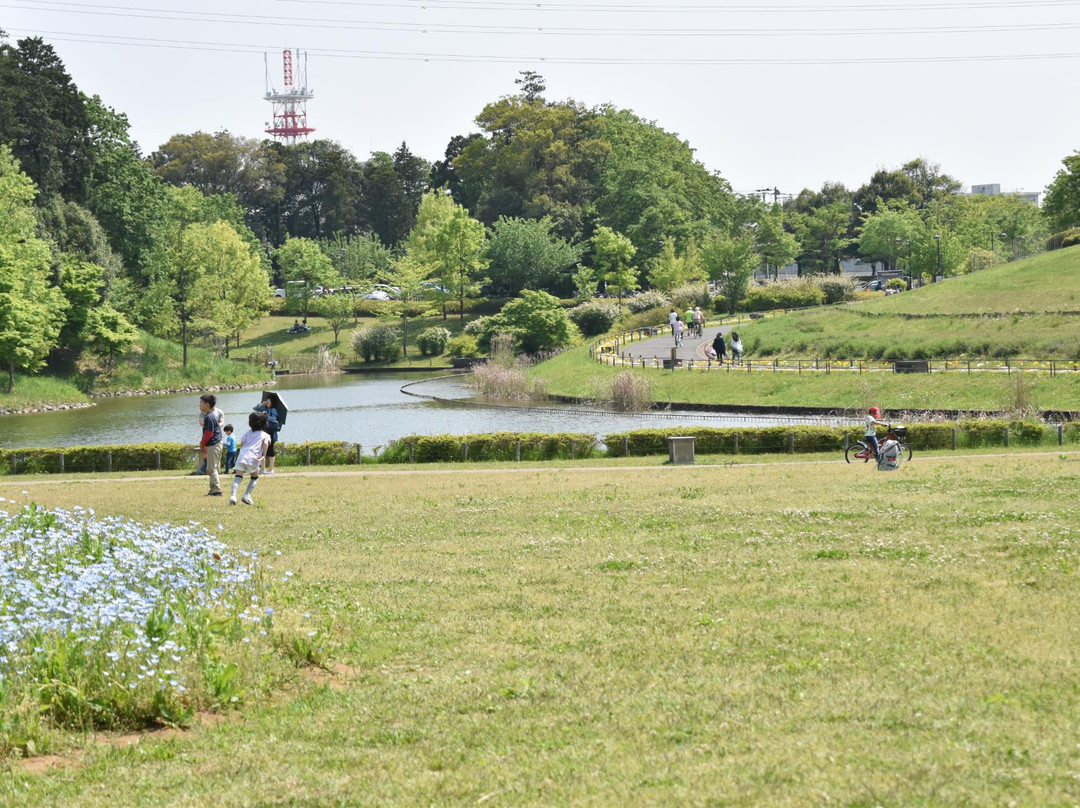 Hokusouhananooka Park-印西市必去景点