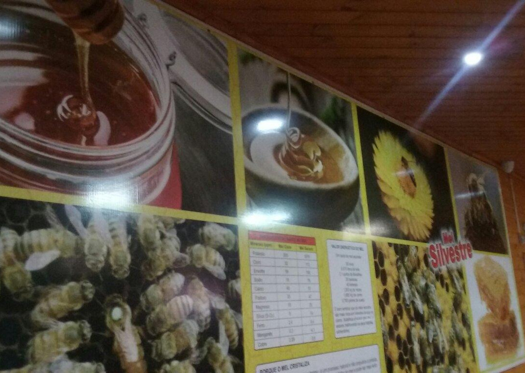 Loja Art & Mel-Urubici必去景点